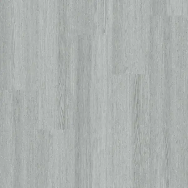 Artic-silver-gallery-1