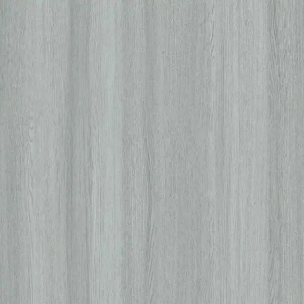 Artic-silver-gallery-2