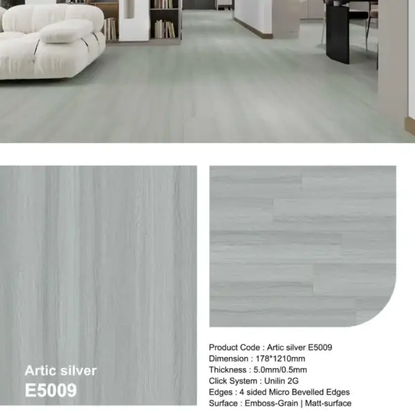 Artic-silver-gallery-3