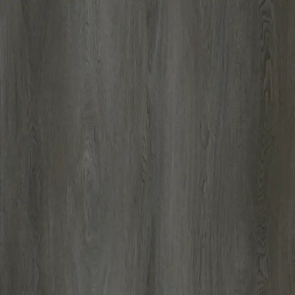 Charcoal Gray-gallery-1