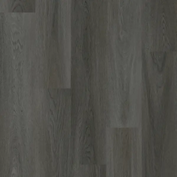 Charcoal Gray-gallery-2