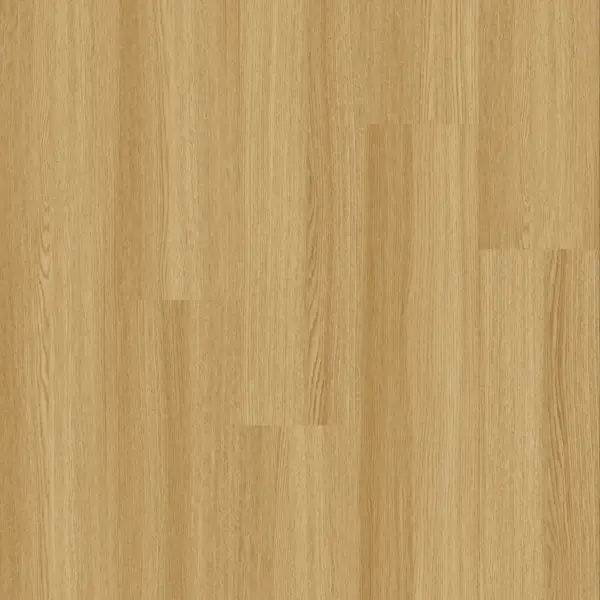 Golden pine-gallery-2