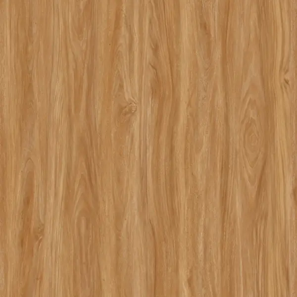 Rich Maple-image-1