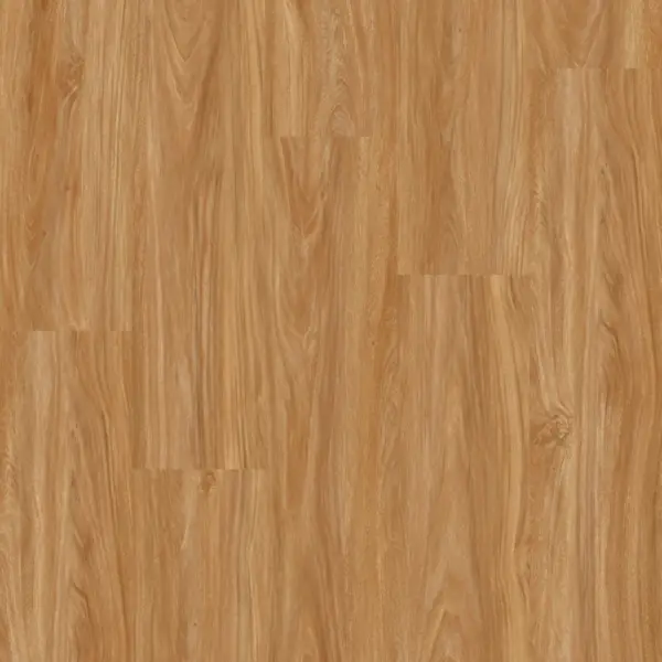 Rich Maple-image-2
