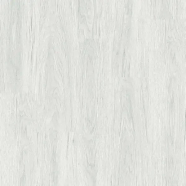 Snow-oak-gallery-2