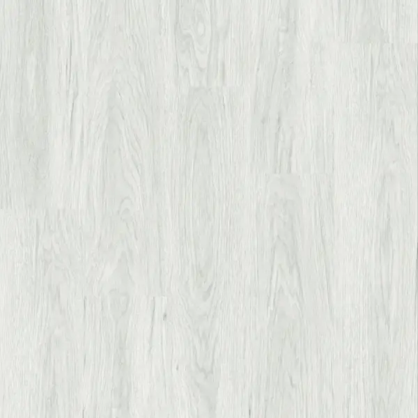Snow oak-gallery-2