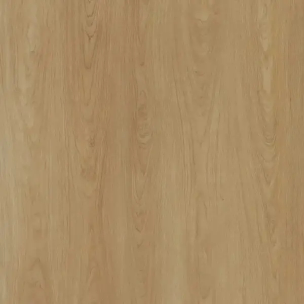 Honey-Maple-E6001-image-2
