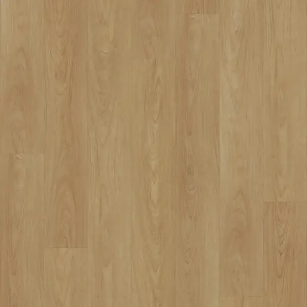 Honey Maple E6001-image-3