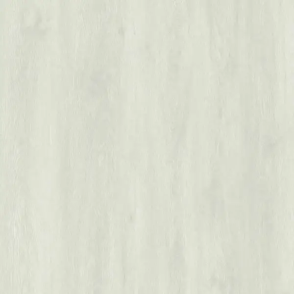 Polar-Ash-E6005-image-2