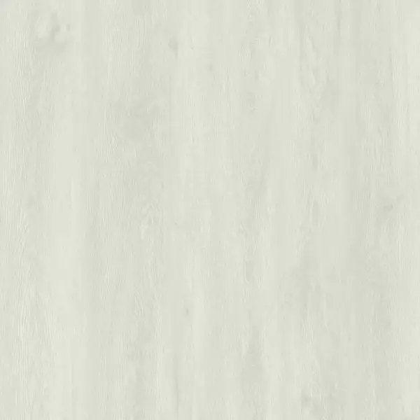 Polar Ash E6005-image-2