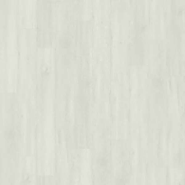 Polar Ash E6005-image-3