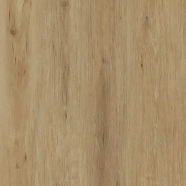 Sahara-Sand-E6003-image-2