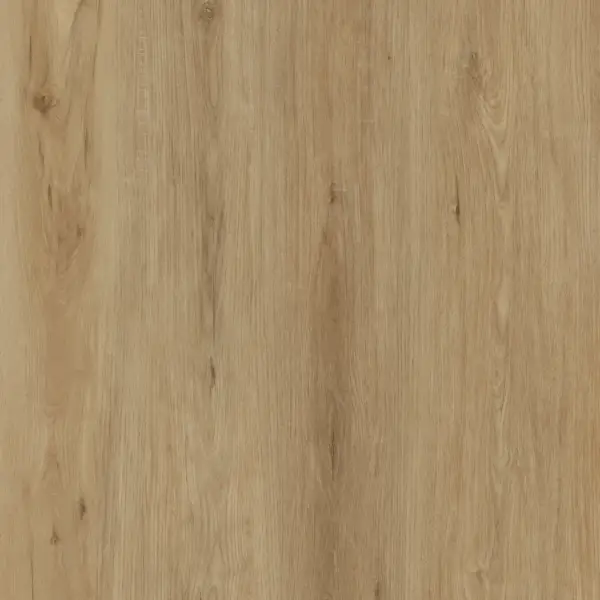 Sahara Sand E6003-image-2