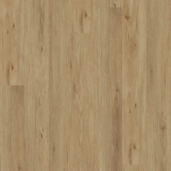 Sahara-Sand-E6003-image-3