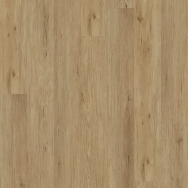 Sahara Sand E6003-image-3